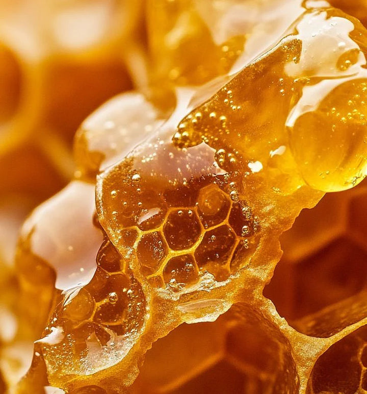 Honey - Oilixir - Cuticule oil 15 ml